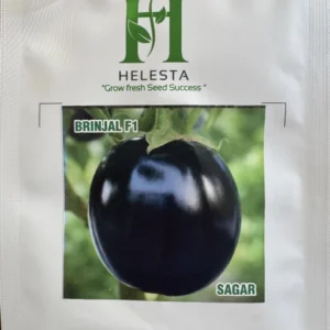Brinjal F1 (Sagar)