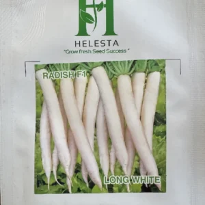 Radish F1 (long White)
