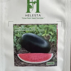 Watermelon F1 (Dhoni)