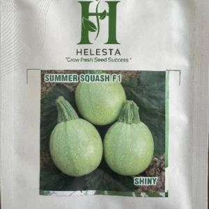 Summer Squash F1 (Shiny)