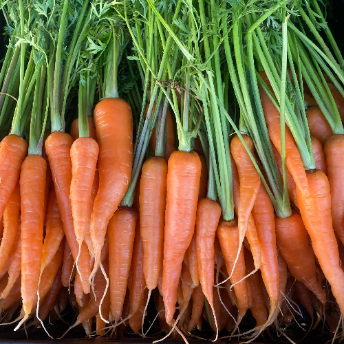Carrots - Image 2