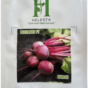 Beet Root F1 (Harsh)