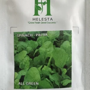 Spinach - Palak (All Green)