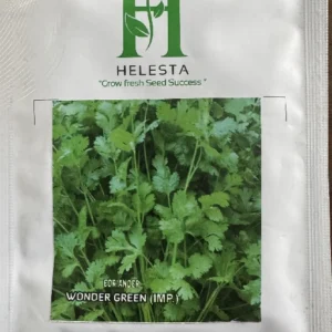 Coriander (Wonder Green) Imp.
