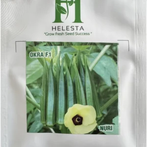 Okra F1 (Nuri)