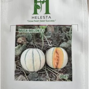 Musk Melon F1 (Uday)