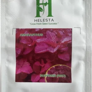 Amaranthus (Superme-Red)