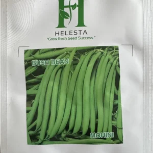 Bush Bean (Mohini)