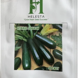 Hybrid Squash (Jockey)